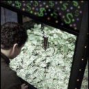 뽑기대박 이미지