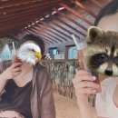07.02. 분짜, 반쎄오 만들기 | 나트랑 자유여행 내돈내산 ep.3/베나자 체크아웃 투어, 새벽 공항 후기