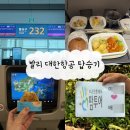 유창바이오 | [발리 1일차] 대한항공 KE431 탑승기 & 꾸따 마마카 호텔 체크인