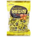 양지 이미지