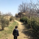 매화숲유치원 이미지