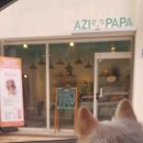 아지파파 이미지