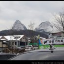 진안흑돼지 이미지