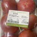 춘천농협 이미지