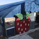 수문농장 이미지