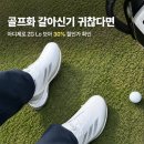Js골프 | 아디다스 아디제로 ZG Lo 보아 골프화 JS1766 후기, 이 가격에 사도 되는 이유 3가지