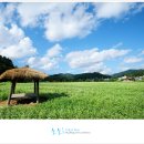 (주)하얀소금