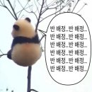 원조벙어리찰떡 | [WISH LIST] 2024‘s 1월 위시리스트 ver.1