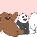 자이온스노우보드 이미지