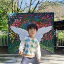 펄벅공원 이미지