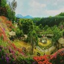 은이로 23번길 이미지