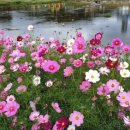 뾰족산 펜션 이미지