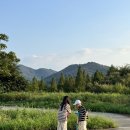 김해 곤충채집 킥보드 타기 좋은 곳 딴섬생태누리공원