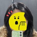 [내돈내산 정수리가발] 여우가발 구입후기 (첫도전기!)