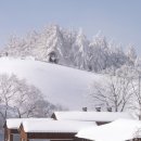 영하목장 이미지