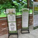 평화목장 | 대관령양떼목장 후기｜외국 부럽지 않았던 강원도 가족여행