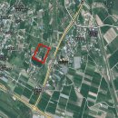 대지농장 이미지