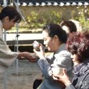 주왕산관광단지내 이미지