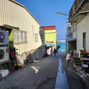 중부-현장-중부-928 | 가오슝 여행. 가오슝 2일차 /가오슝 소류구 즐기기(거북이 스노우클링 투어), 소류구 먹거리(맛집...