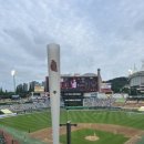 순살싸다리치킨 SSG랜더스필드점 이미지