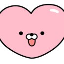 연이동물병원 이미지