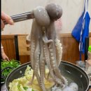 님 바래기 이미지