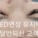 에르리에뷰티