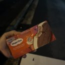 일본 워킹홀리데이 8주 차