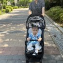 6월 셋째주 일상