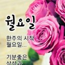 아름답다는 뜻 이미지