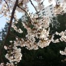 숲속마을 이미지