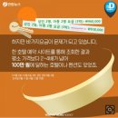 페도라팬션 이미지