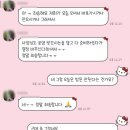 아담펫 이미지