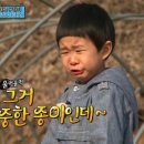 철수머리 - 양주시 | 철수머리