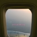팔팔돼지(88돼지) 이미지