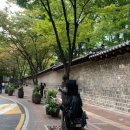 10월의 여유라 쓰고 도파민 중독이라 읽는다...