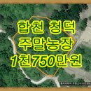 [합천]청덕면 주말농장 명당 묘 터 지적도로 접 435평＜1천750만원＞ 이미지