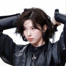 배이 카카오 검색결과