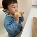 제이투로스터스