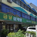 금남분식 | 충장로 혼밥 고민 끝! 몸보신까지 되는 금남삼계탕 후기