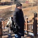 개모차 일체형 접이식 루아멍 루나A 추천 언박싱부터 사용까지의 솔직 후기