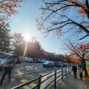 수지체육공원 풋살장 이미지