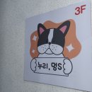 누리,멍's 이미지