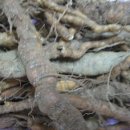 국산1로 이미지