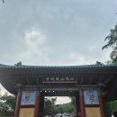 여무 | 칠월칠석