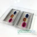 영동싸이언스 이미지