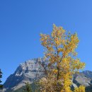 Yoho National Park Visitor Centre 이미지