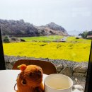 바글바글제주 | 제주투어패스 카페 추천 5곳 | 서귀포·애월 뷰맛집 카페투어 내돈내산 후기