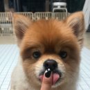 아빠손은약손 이미지