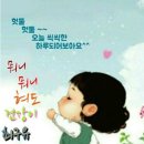 배실 이미지